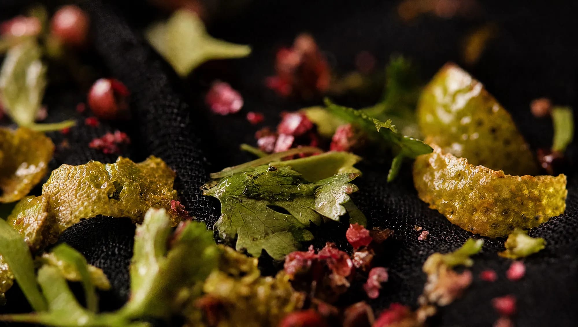 Cilantro, lima y pimienta rosa de cerca