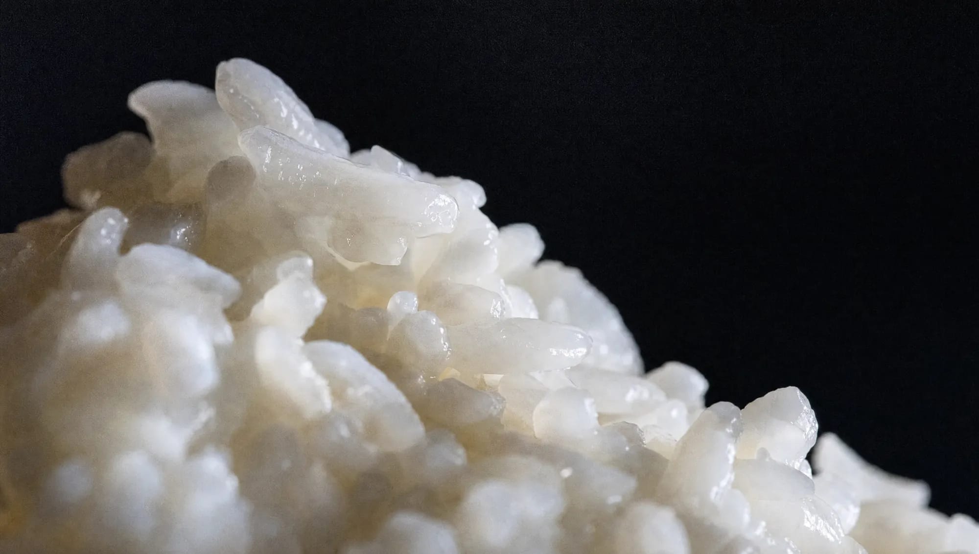 Granos de arroz cocido sobre fondo negro